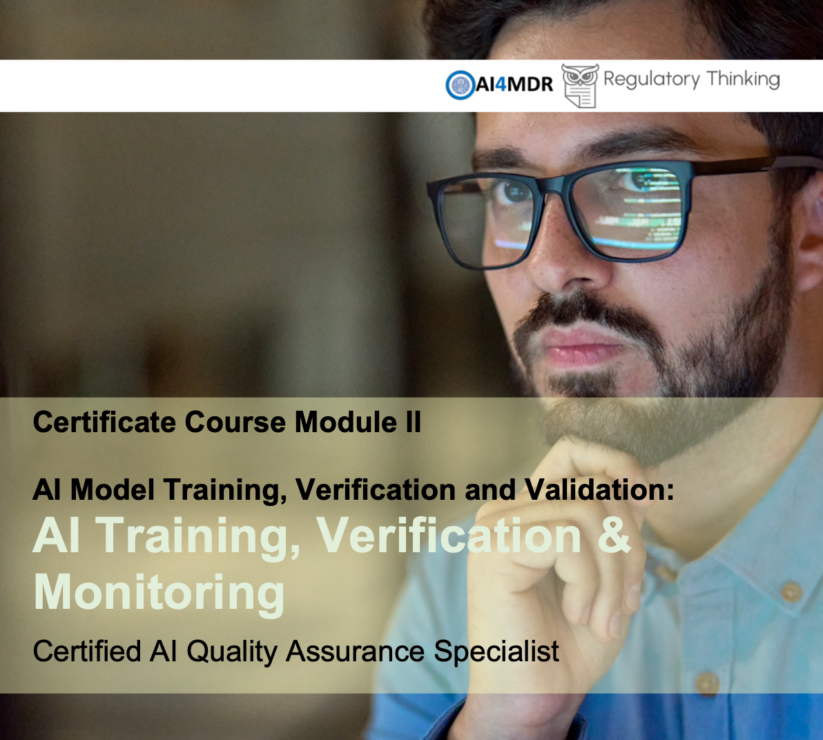 AI Training, Verification, and Monitorin